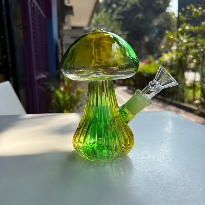 Bong hongo bebé