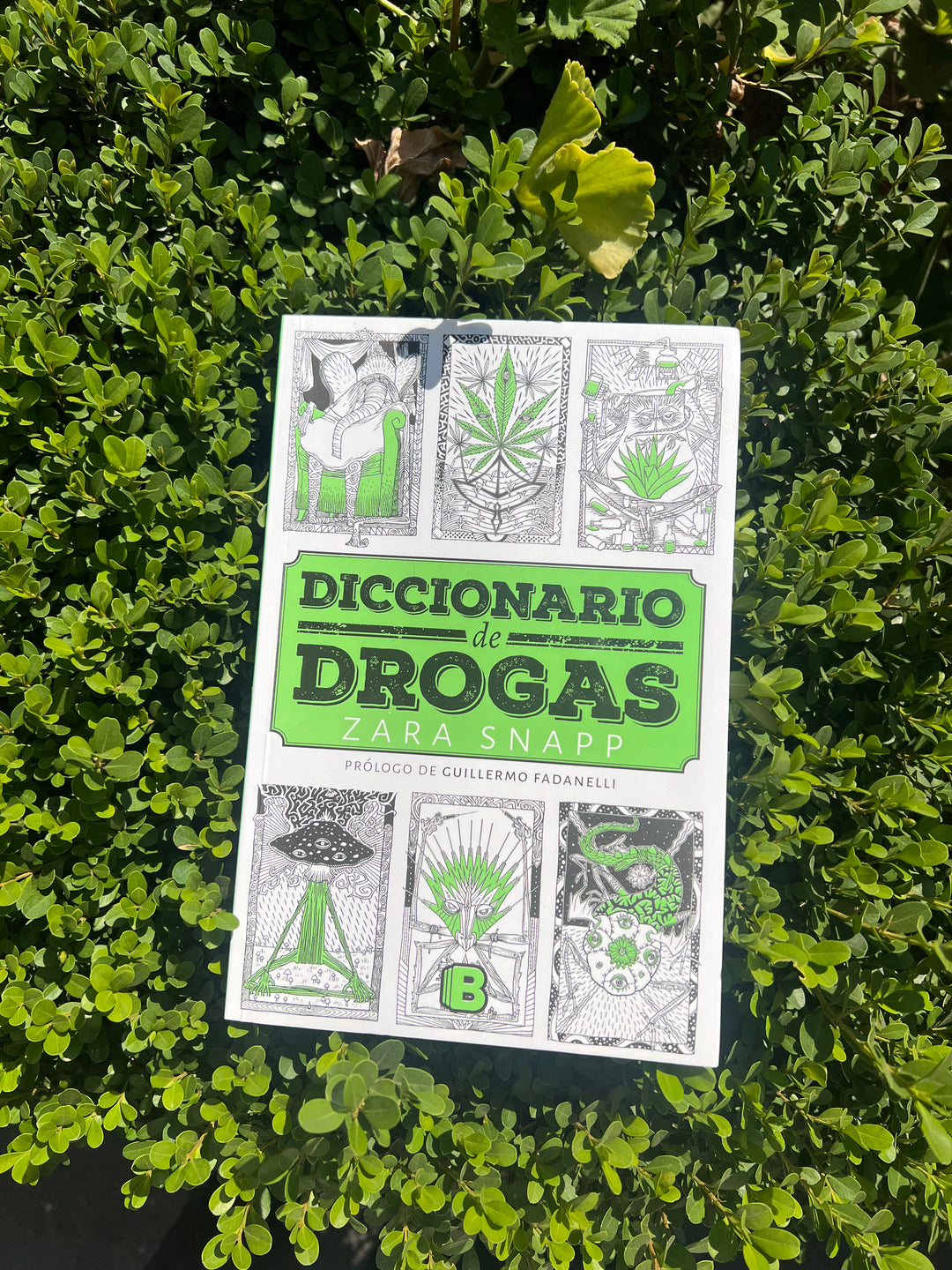 Libro Diccionario de Drogas por Zara Snapp