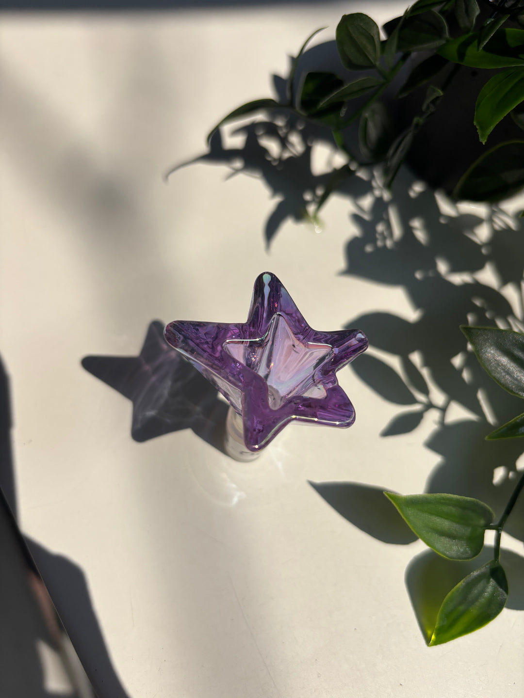 Bowl Estrella Colores