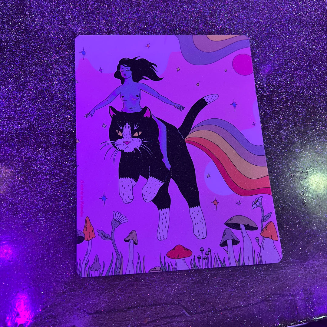 Postal Gato Arcoiris