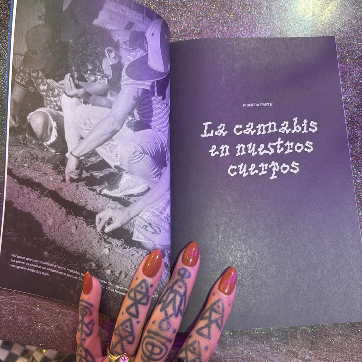 Yerba. Historias de la cannabis y prohibición